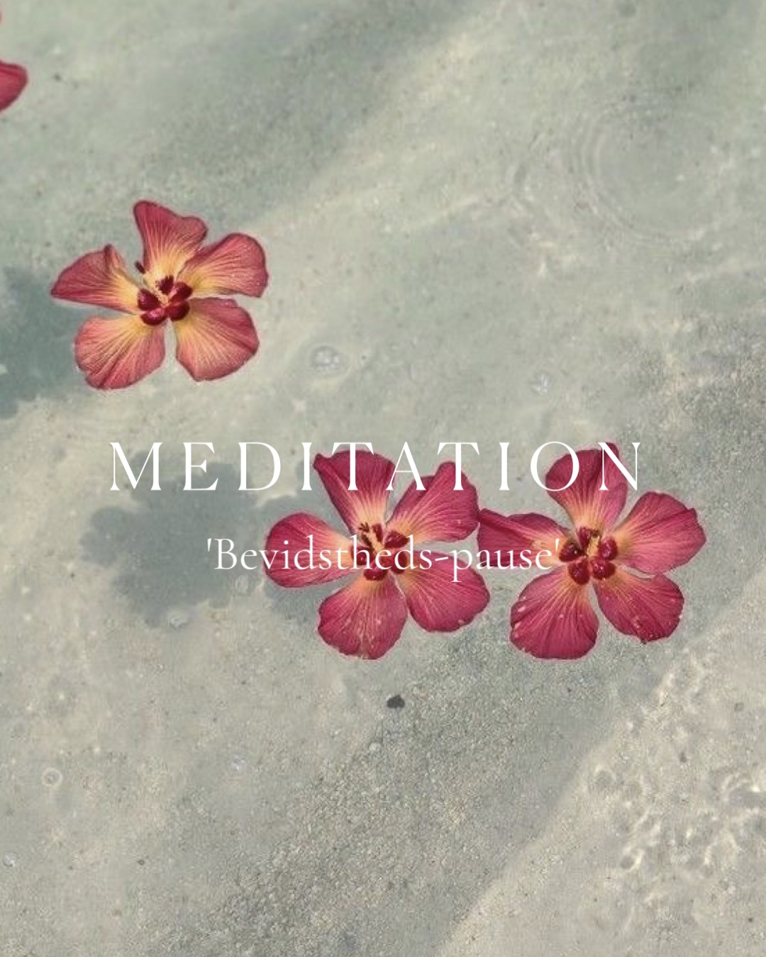 Meditation – Bevidsthedspause