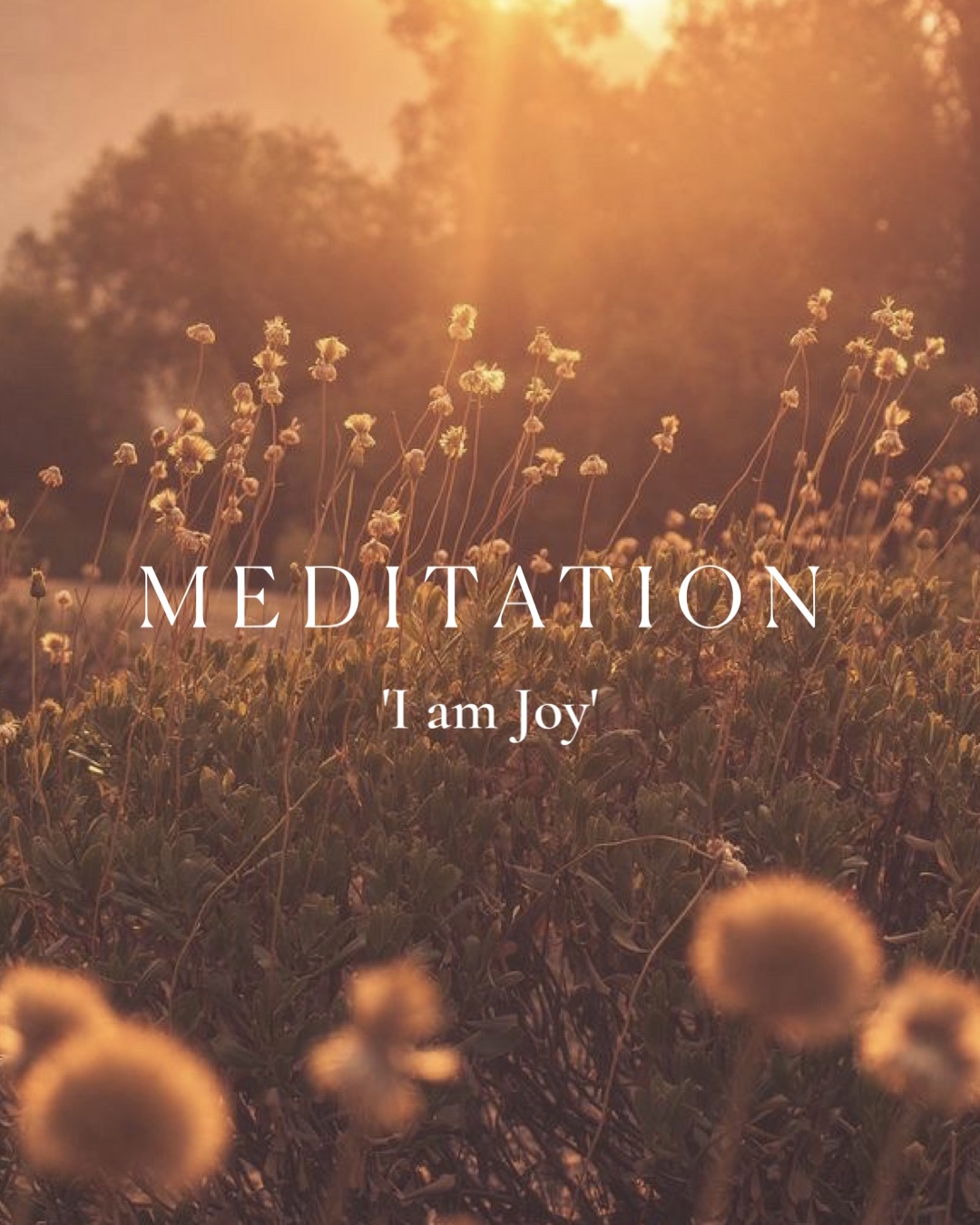 Meditation – I am Joy / Jeg er glæde