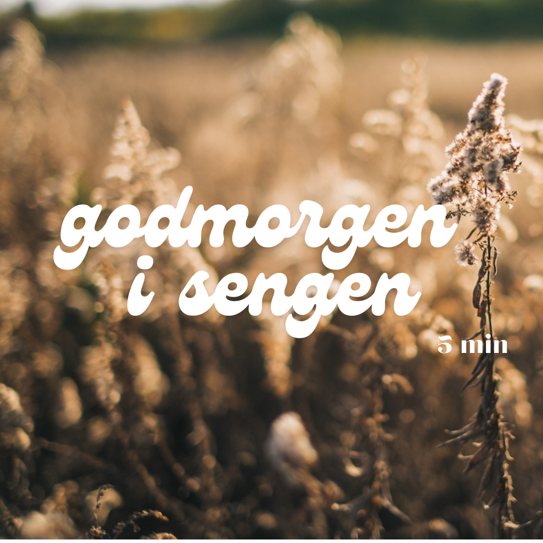 Meditation – Godmorgen i sengen