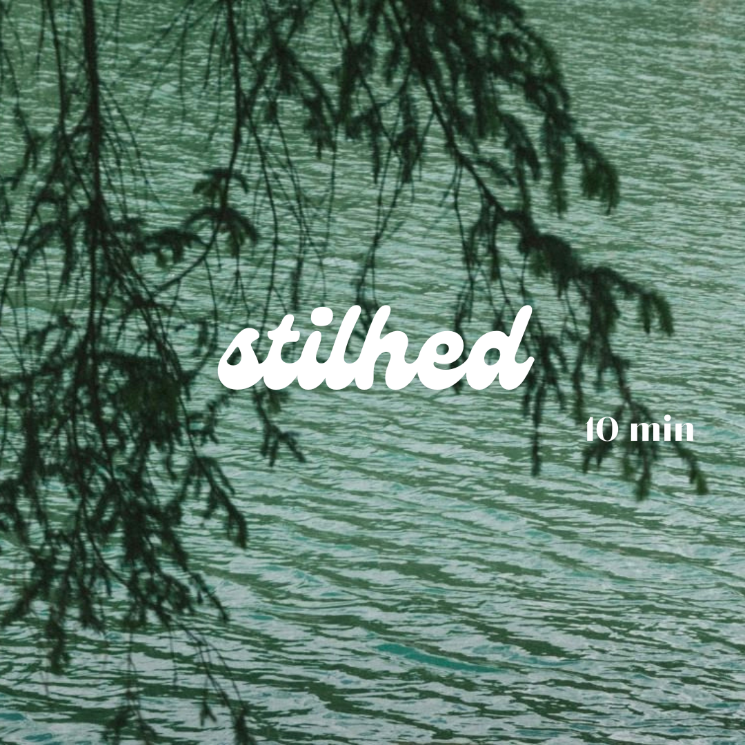 Stilheds meditation